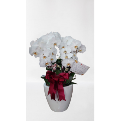 Desk Flower Full Anggrek Sedang 01